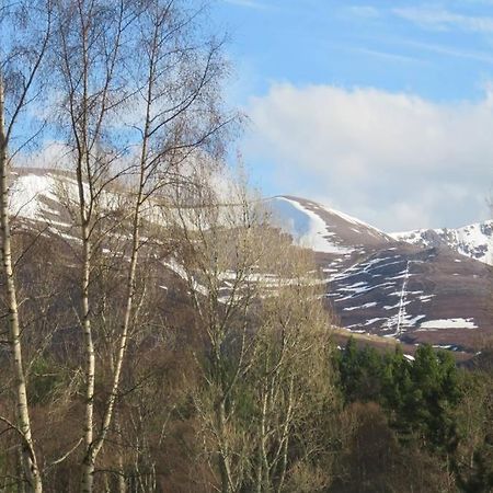 Pine Marten Bar Glenmore Pods Aviemore Zewnętrze zdjęcie
