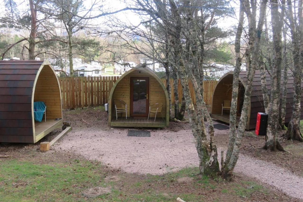 Pine Marten Bar Glenmore Pods Aviemore Zewnętrze zdjęcie